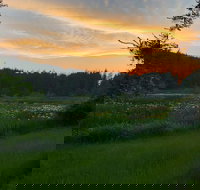 Otters Pond Bed  Breakfast - Accommodation Los Angeles