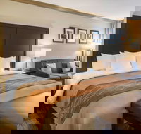 Comfort Inn Castro Valley - Accommodation Los Angeles