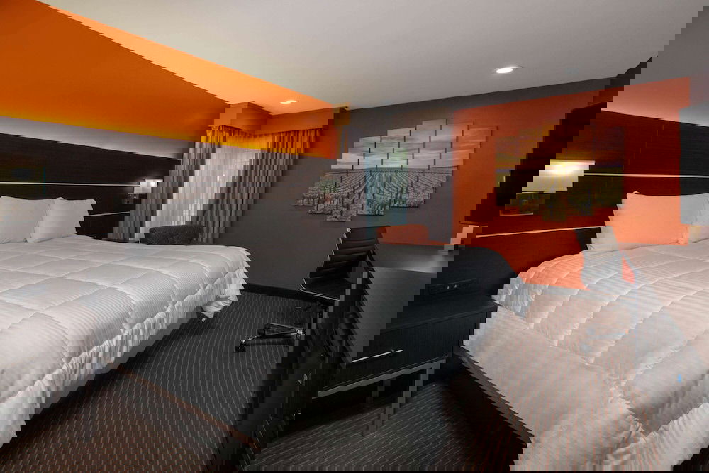 Hotel Vinea, A Travelodge By Wyndham - thumb 5