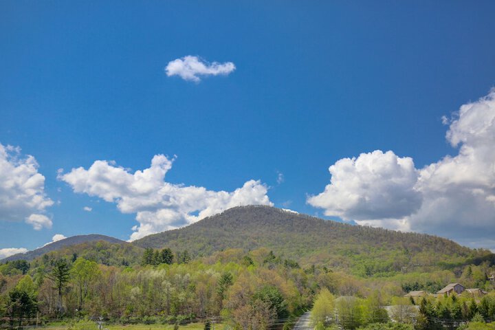 Quality Inn & Suites University - thumb 7