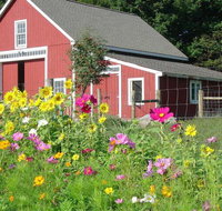 Bryn Meadow Farm  B  B - Accommodation Los Angeles