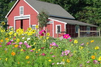 Charlotte Vt Accommodation Los Angeles