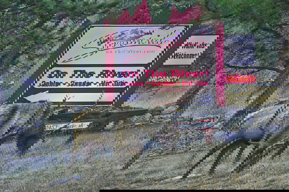 Streamside On Fall River - thumb 1