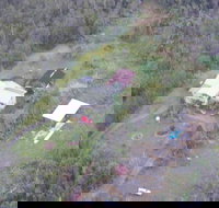 Fern Forest Getaway - Accommodation Los Angeles