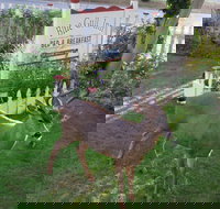 Blue Gull Inn B&B - Accommodation Los Angeles