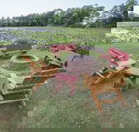 Edinboro Lake Resort Cabins - Accommodation Los Angeles