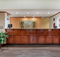 Comfort Suites Airport - Accommodation Los Angeles