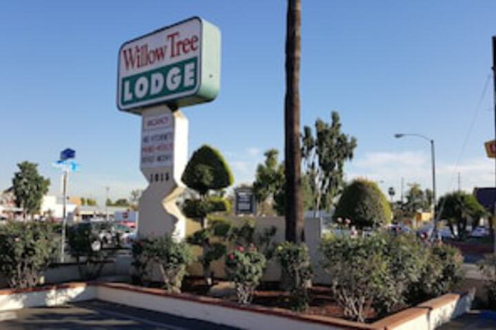 Willow Tree Lodge - thumb 0