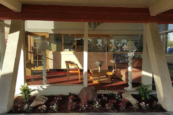 Willow Tree Lodge - thumb 6