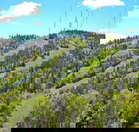 Terry Peak Lodge - Accommodation Los Angeles