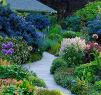 Colettes Bed  Breakfast - Accommodation Los Angeles