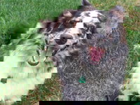 Inn at Rivers Edge Marina