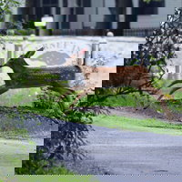 Journey Inn Bed  Breakfast