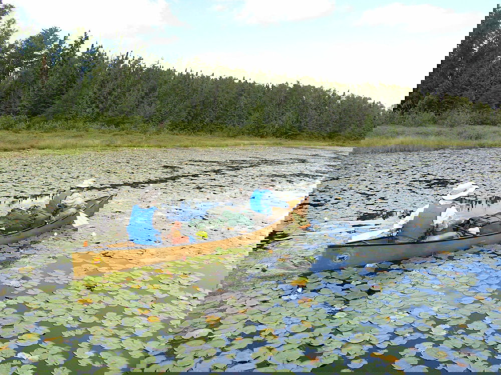 Moose Track Adventures Resort - thumb 1