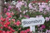 Bloomsbury Inn