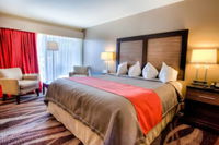 The Beaucatcher  A Boutique Motel