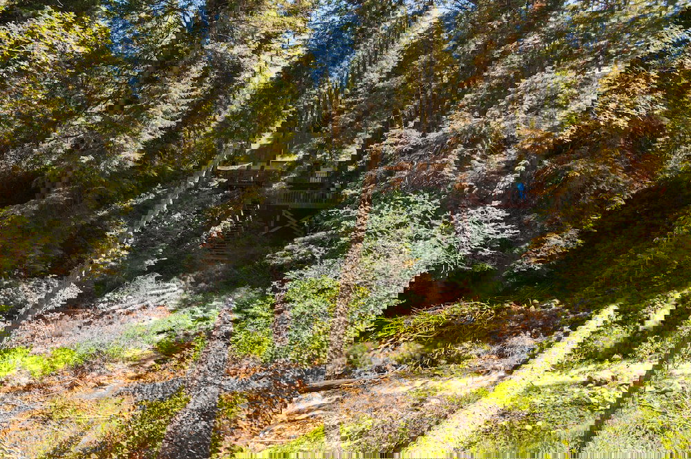 Hideaway Above The Stream - thumb 1