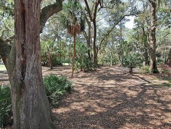 Greens 165 - thumb 0