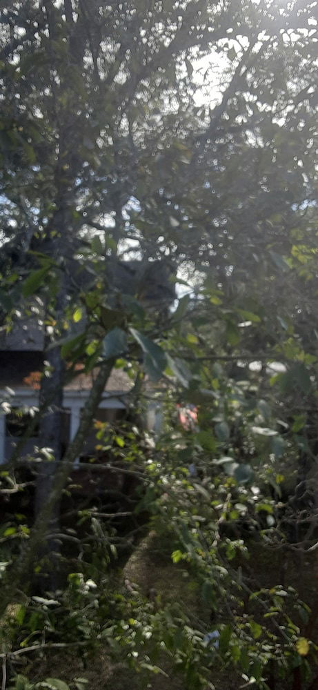 Baxter's Brewhouse Inn - thumb 6