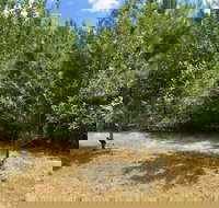 Temple in the Woods - Accommodation Los Angeles