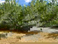 Caret Va Accommodation Los Angeles