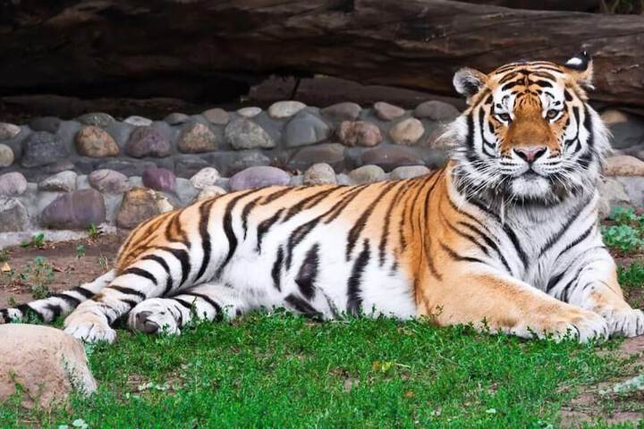 Magnuson Hotel Birch Run - thumb 4