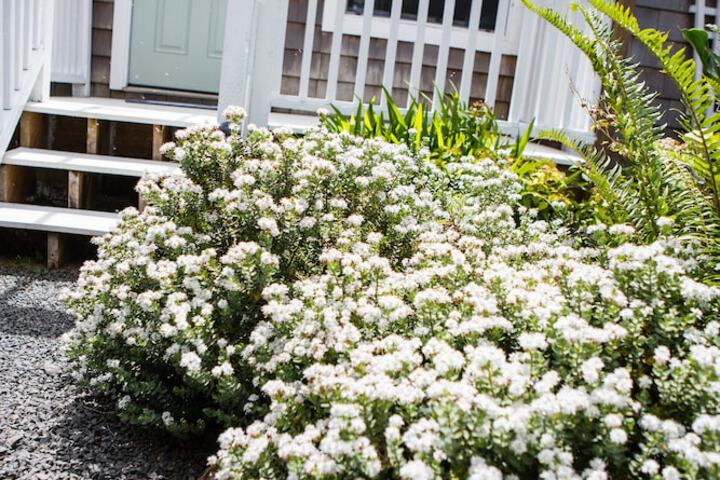 Inn At Arch Cape - thumb 1