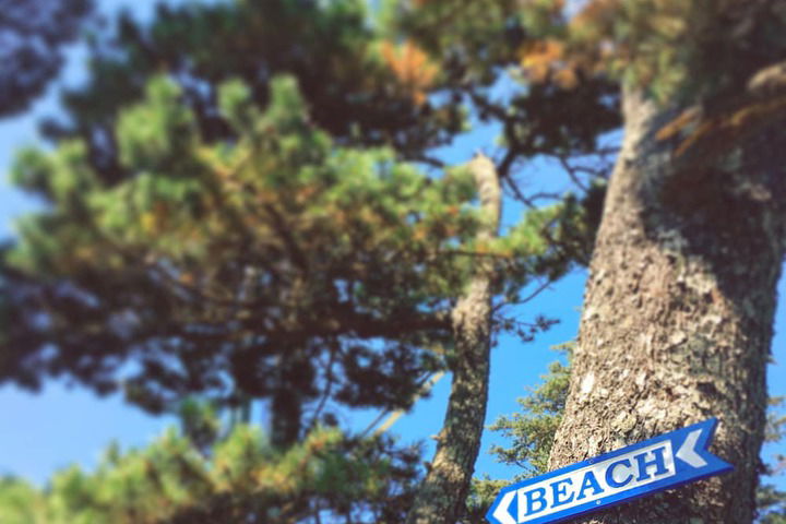 Inn At Arch Cape - thumb 7