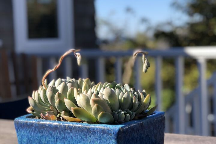 Inn At Arch Cape - thumb 6