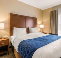 Comfort Inn  Suites IAH Bush Airport  East - Accommodation Los Angeles