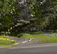 Hale 'Ohu Bed & Breakfast - Accommodation Los Angeles