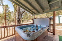 Wild Horse Retreat Two Bedroom Cabin with Hot Tub
