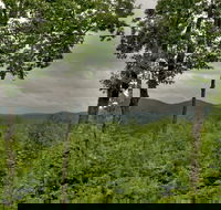 Treasure In The Trees - Accommodation Los Angeles