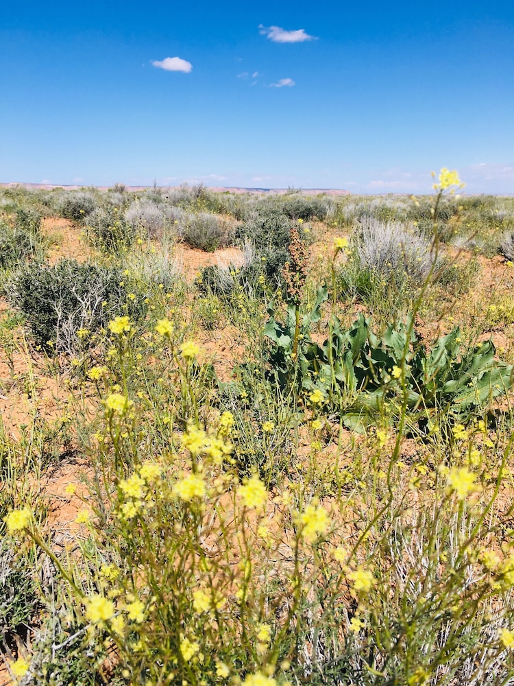 Shash Dine EcoRetreat - thumb 4