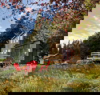 Clydesdale Outpost - Accommodation Los Angeles