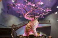 Kalahari Resorts  Conventions