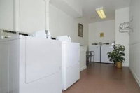 Best Western Golden Buff Lodge