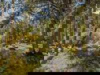 Lazy K Mountain Home 5 Bedroom Holiday home by Key to the Rockies