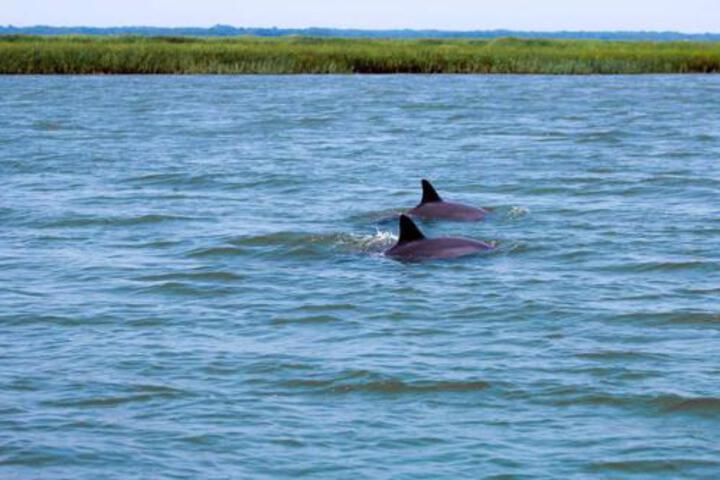 188 Beach Club Villa One Bedroom Villa - thumb 6