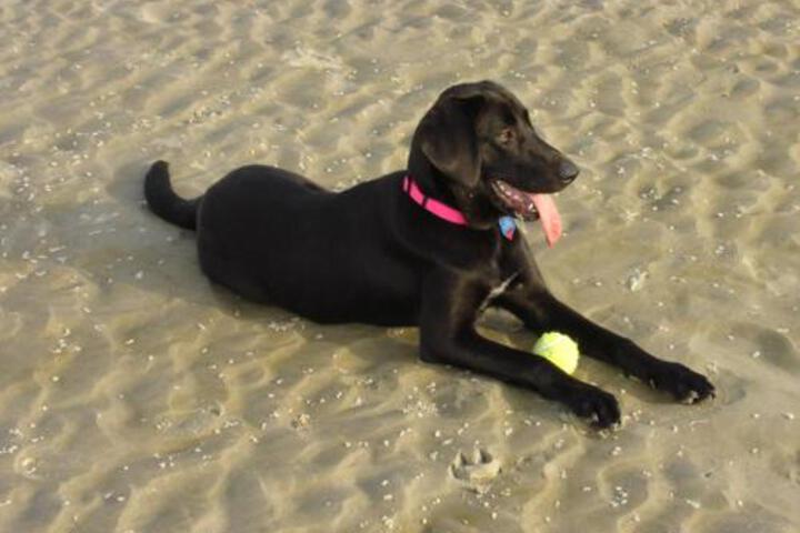 375 Sea Bass Three Bedroom House - thumb 4