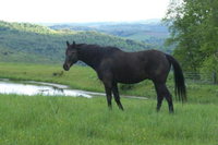 Book Cities Accommodation Vacations, Accommodation Los Angeles Accommodation Los Angeles