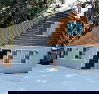 Cub Paws - Accommodation Los Angeles