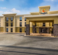 Comfort Inn - Accommodation Los Angeles