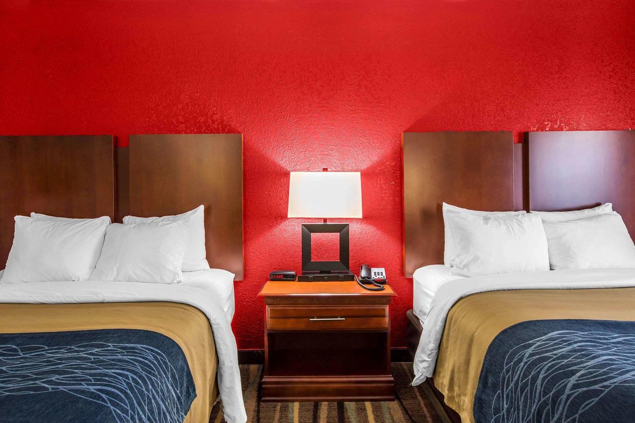 Comfort Inn Alpharetta - thumb 18