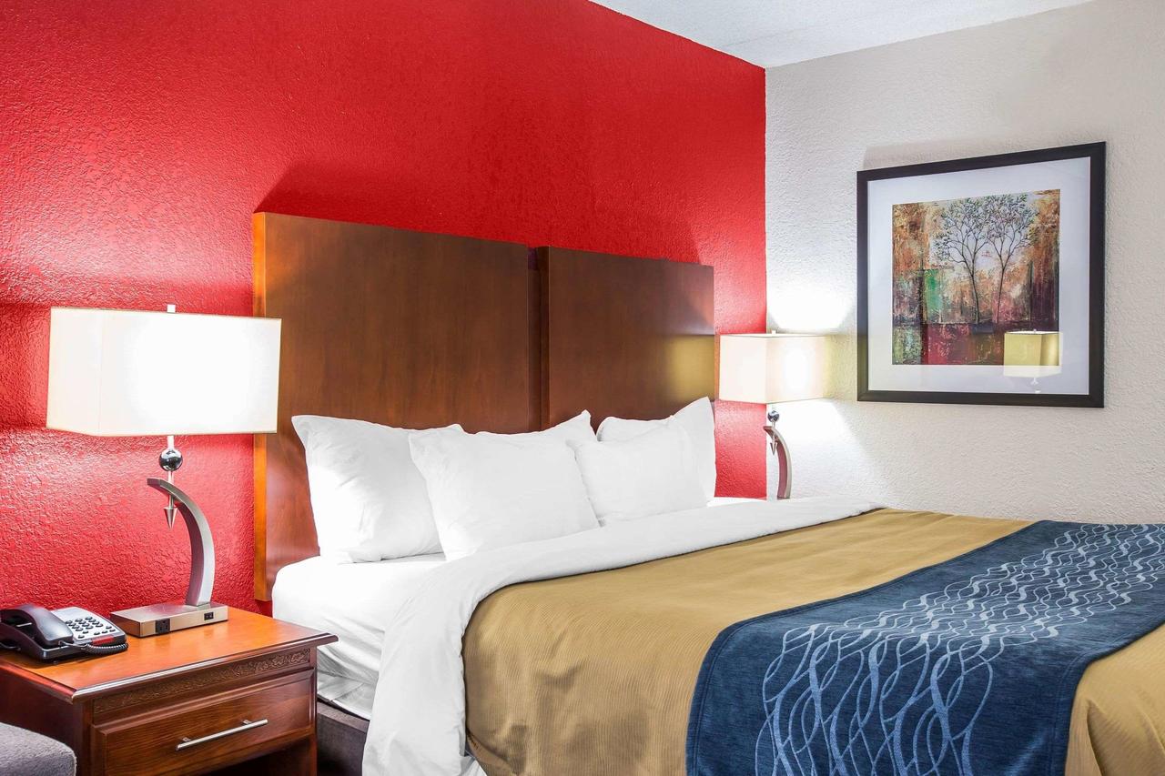 Comfort Inn Alpharetta - thumb 4