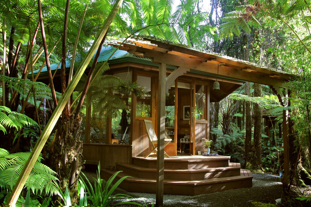 Volcano Rainforest Retreat - thumb 3