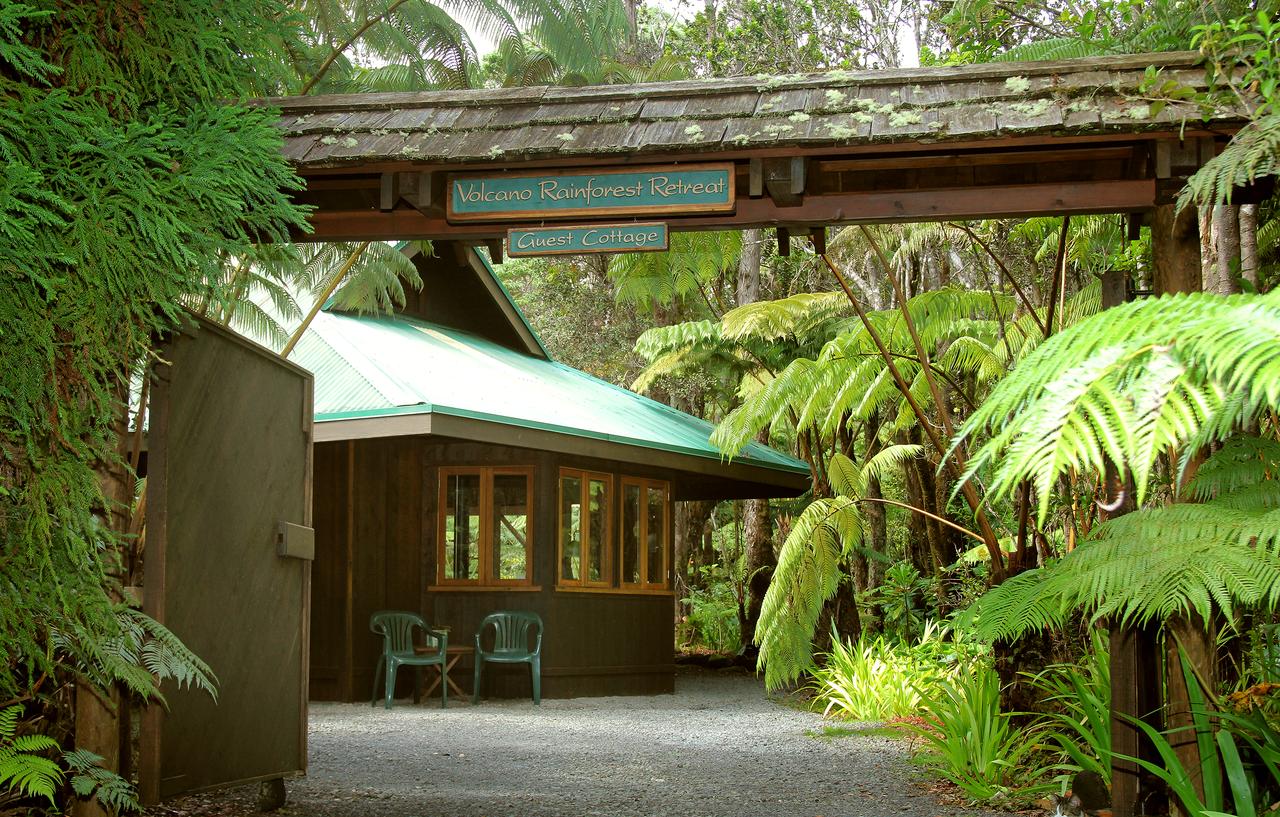 Volcano Rainforest Retreat - thumb 5