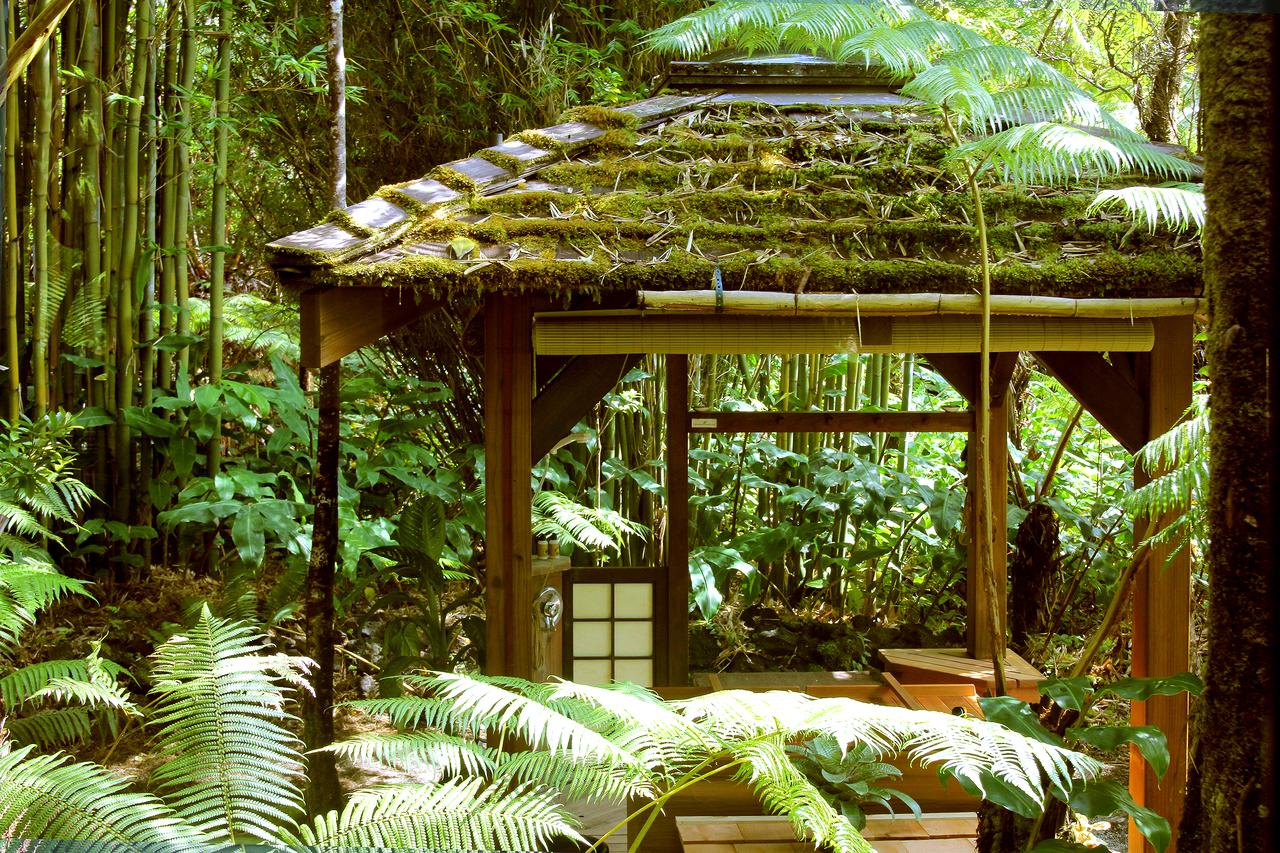 Volcano Rainforest Retreat - thumb 20