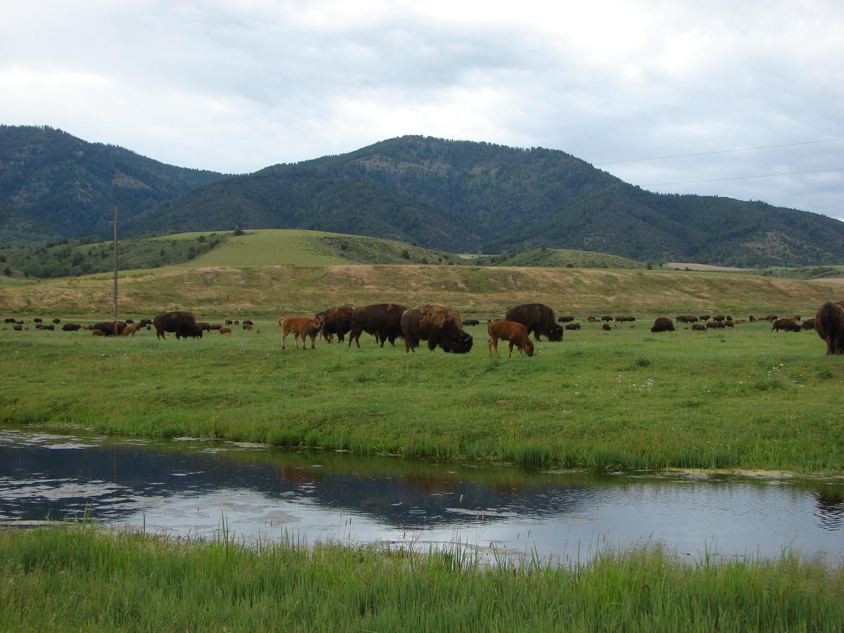 Sleepy J Cabins - thumb 2