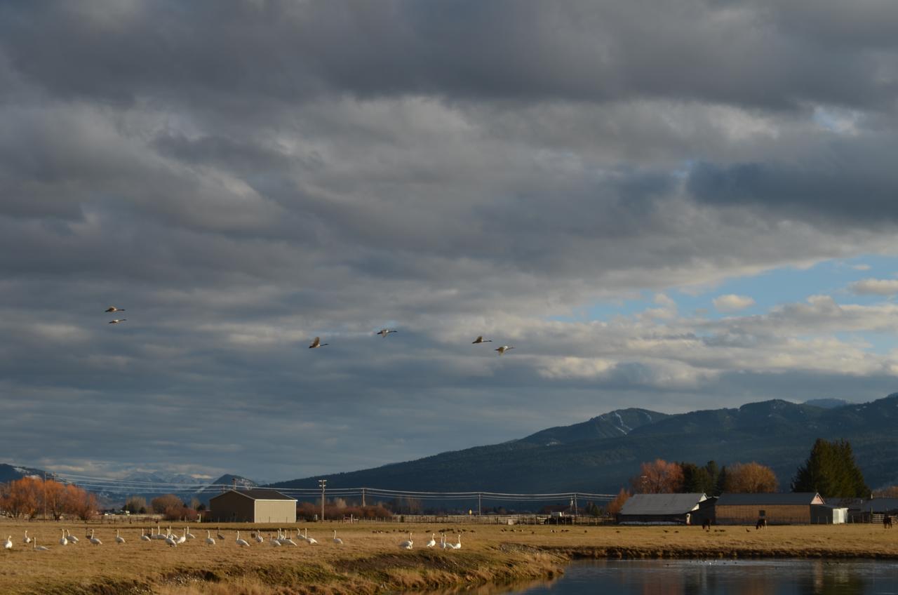 Sleepy J Cabins - thumb 29